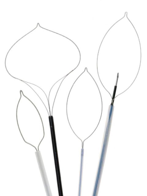 Alças de polipectomia