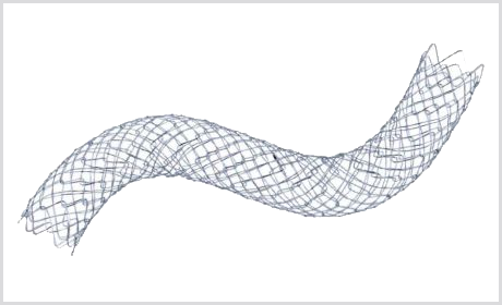 Stent Biliar M