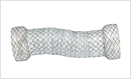 Stent Esofágico DUAL
