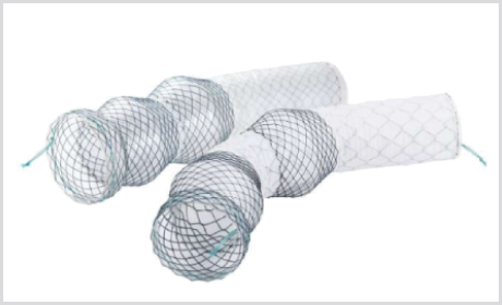 Stent Esofágico BETA
