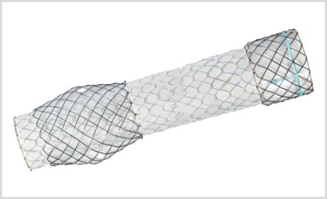 Stent Esofágico CONIO II