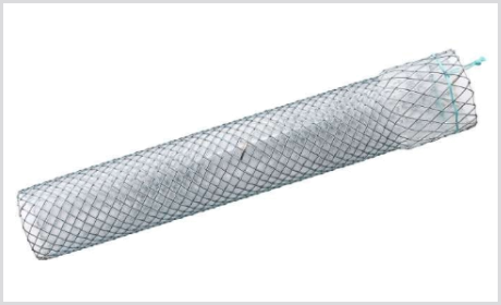 Stent Esofágico CONIO